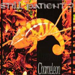 Still Patient : Chameleon